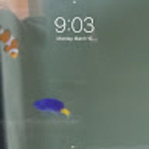 Meet your Posher, Stillman